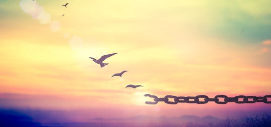 Other services main image